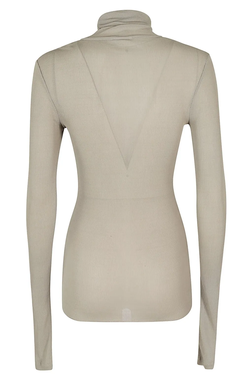 Sheer Turtleneck Top