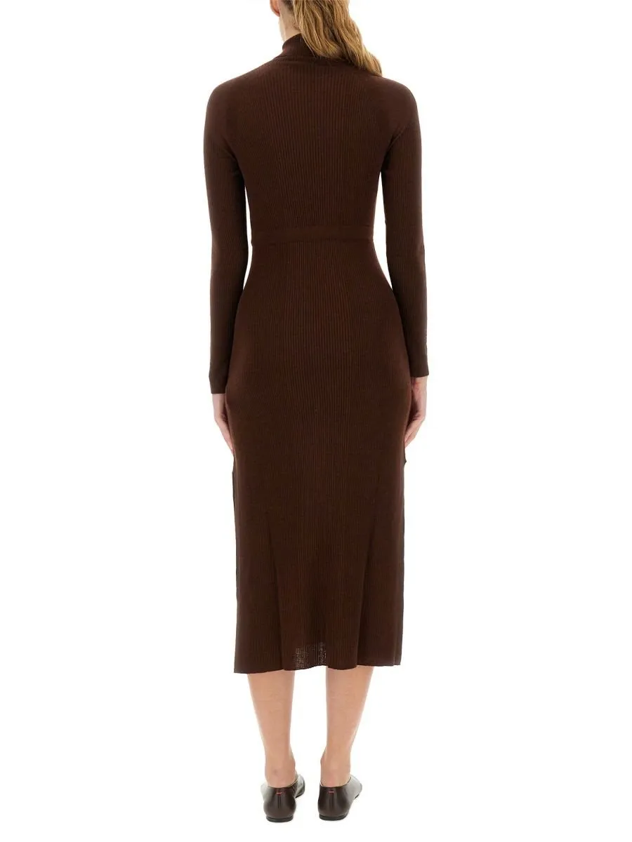 Ribbed Turtleneck Dress