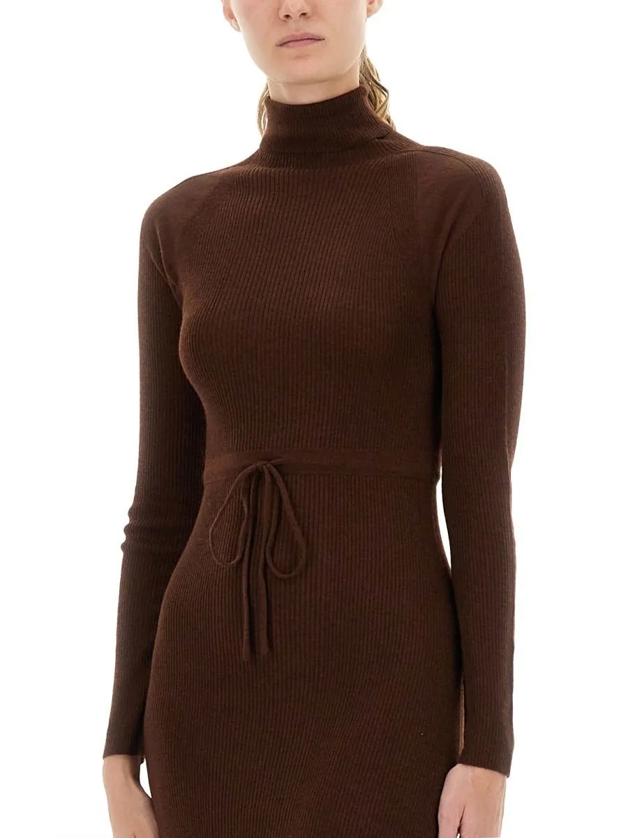 Ribbed Turtleneck Dress