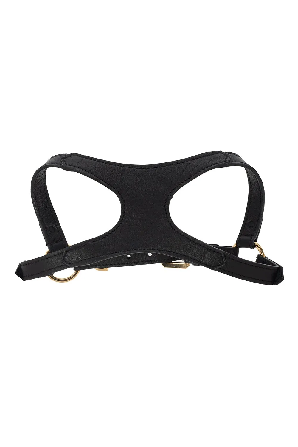 Dog Harness