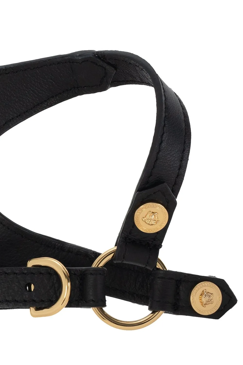 Dog Harness