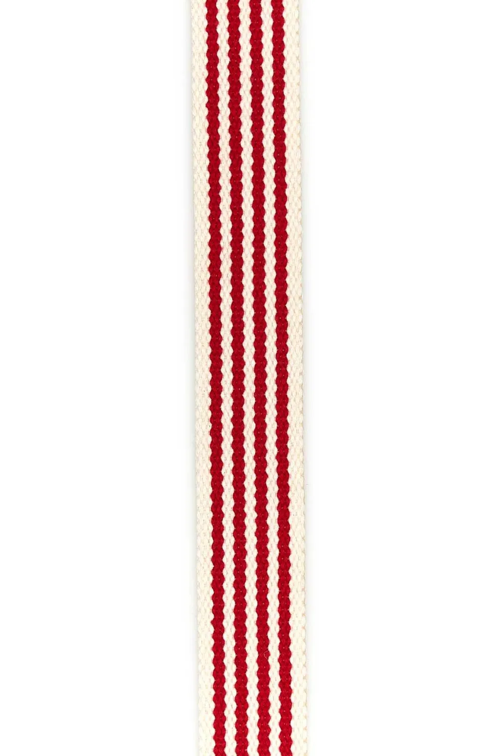Striped Webbing Belt