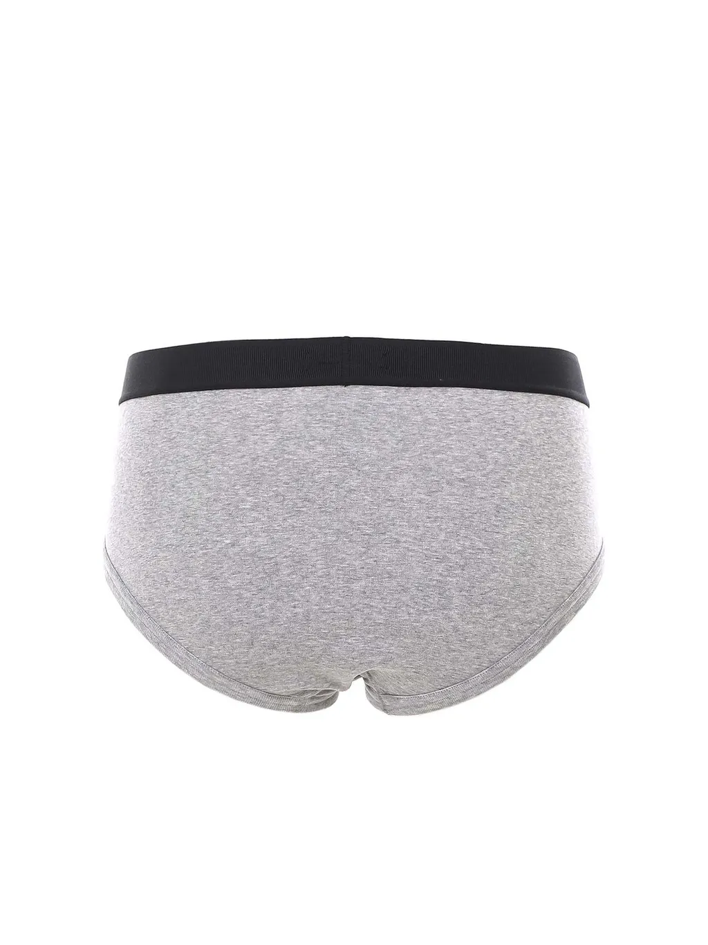 Briefs