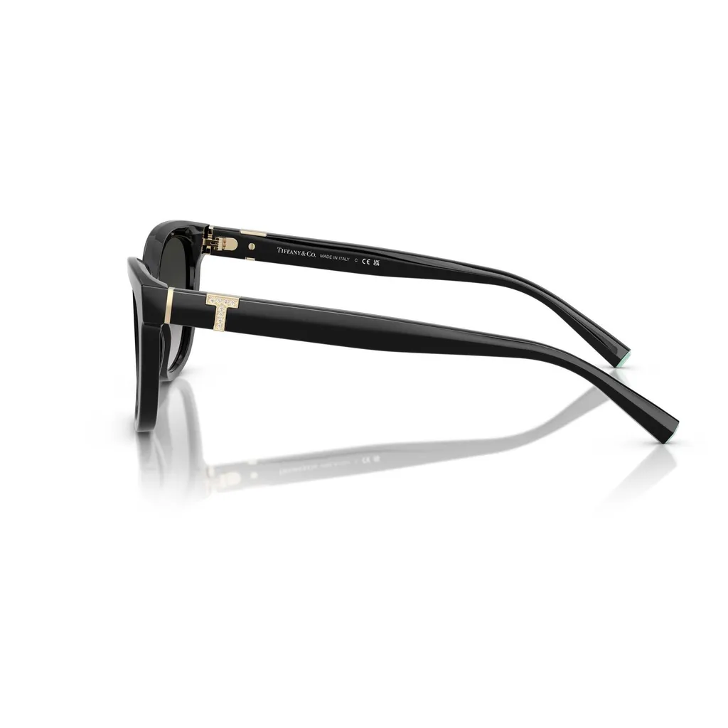 Cat-Eye Sunglasses