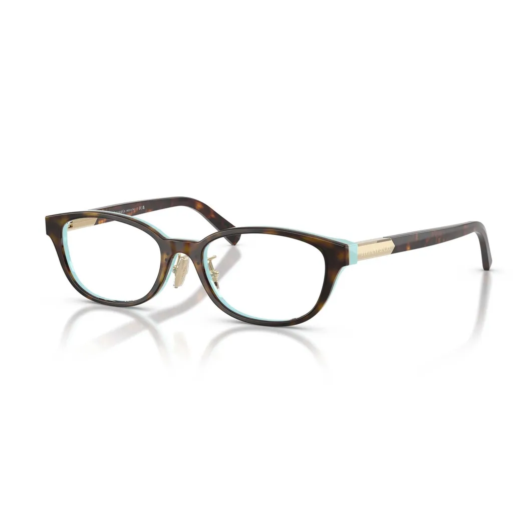 Eyeglasses