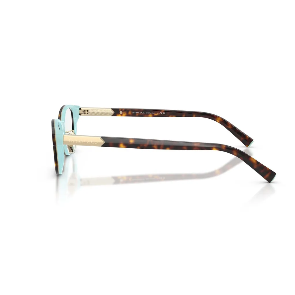 Eyeglasses