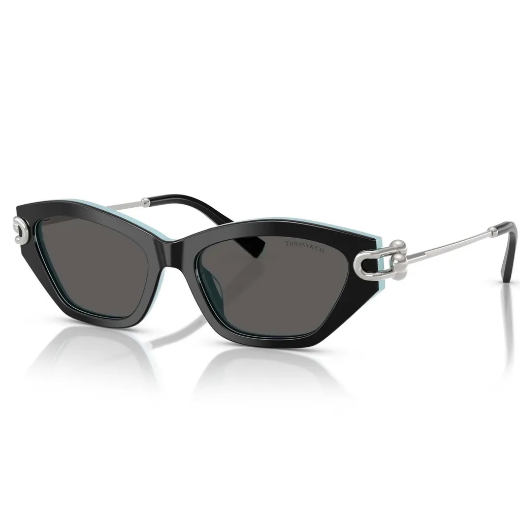 Cat-Eye Sunglasses