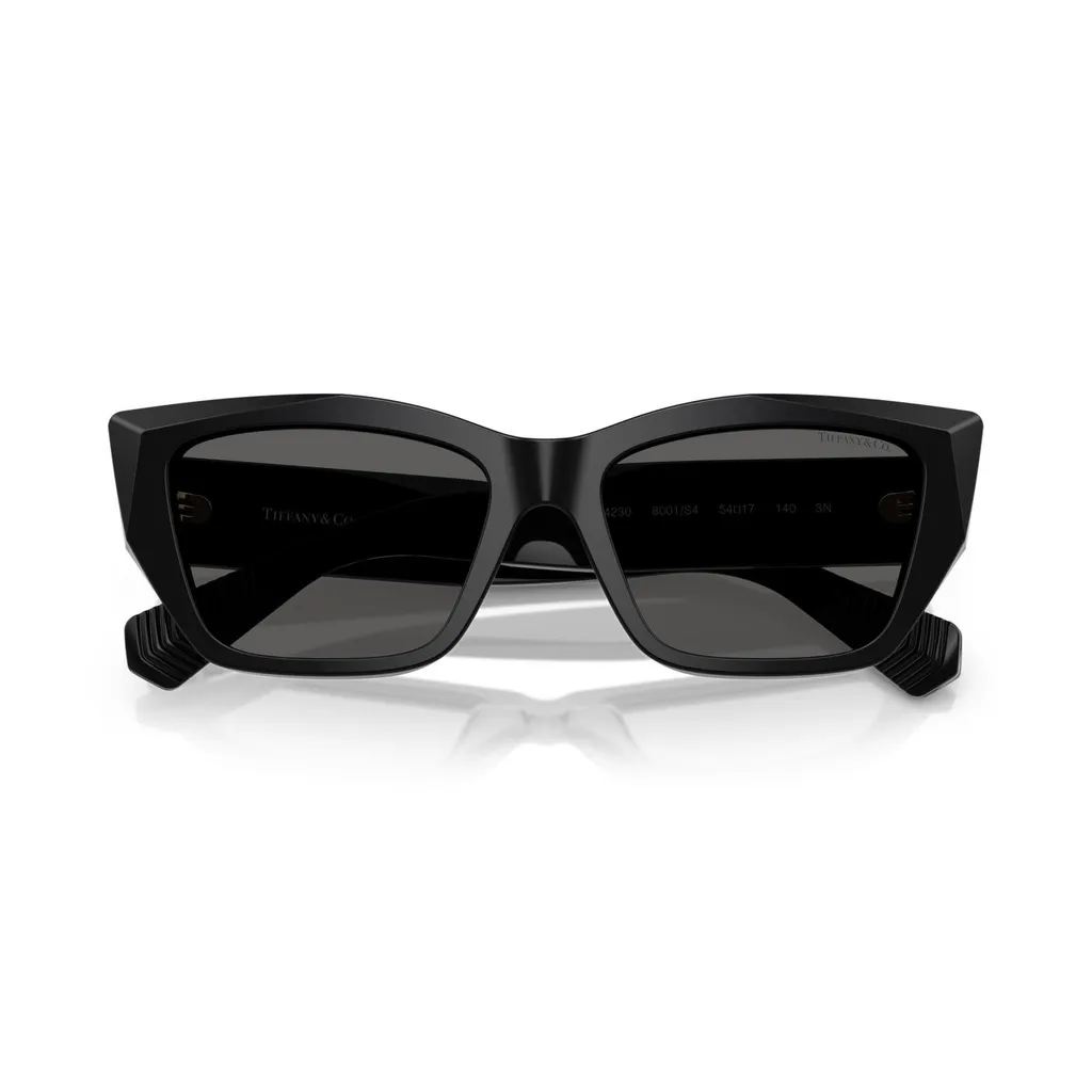 Cat Eye Sunglasses