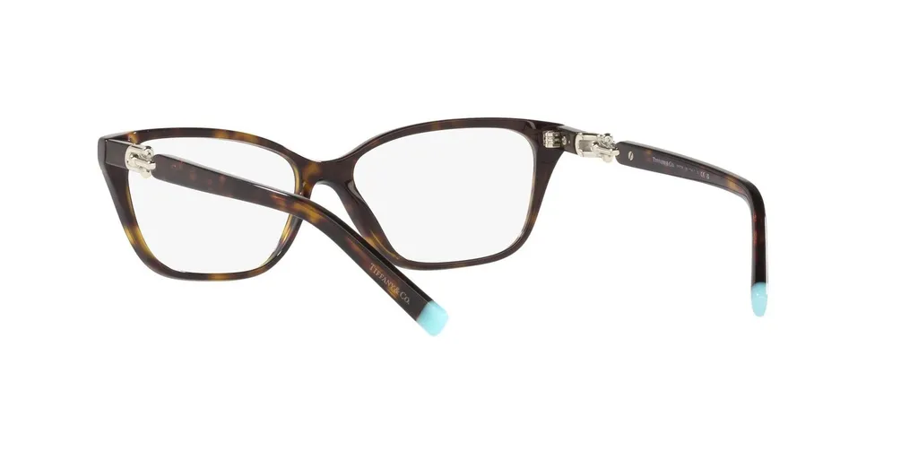Cat-Eye Glasses