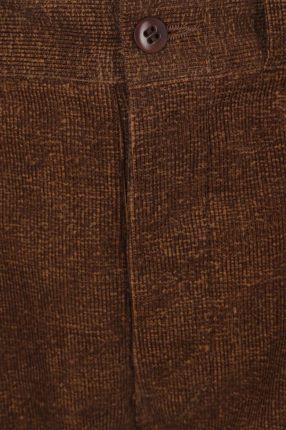 Pleated Trousers