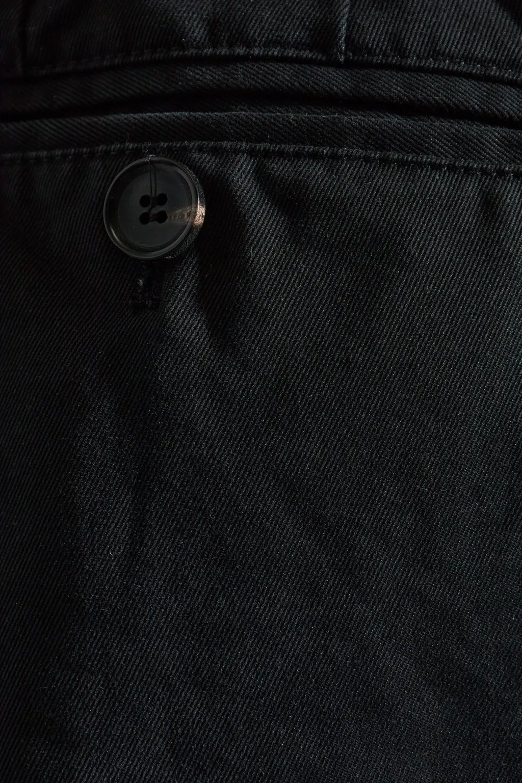 Pleated Trousers