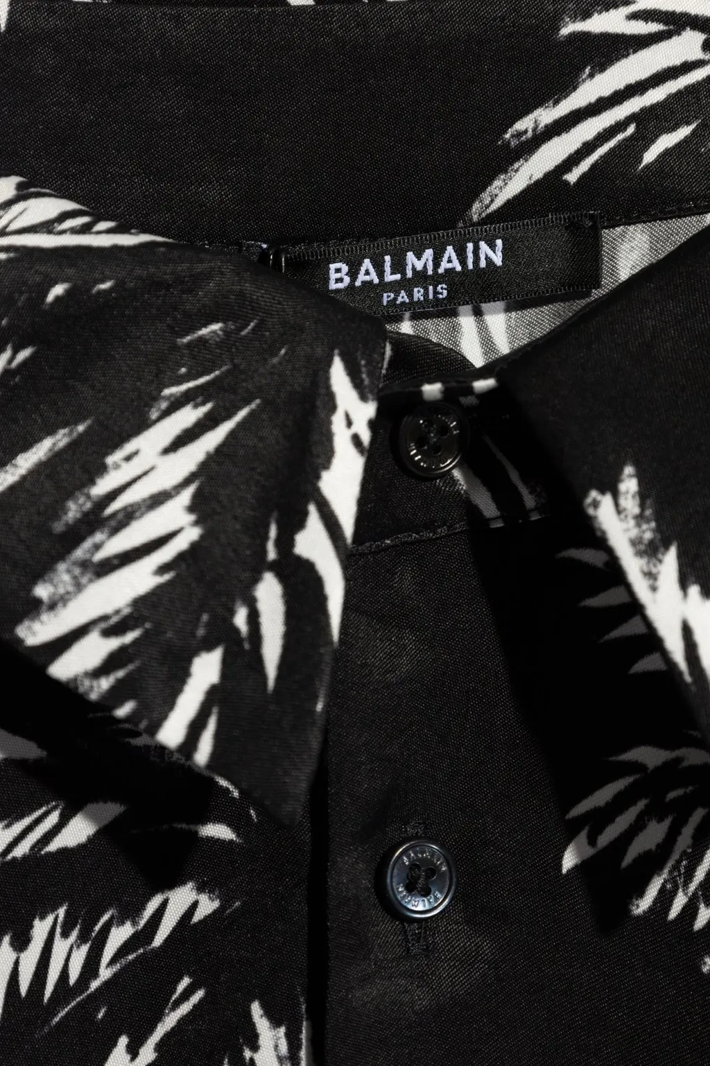 Palm Tree Print Shirt
