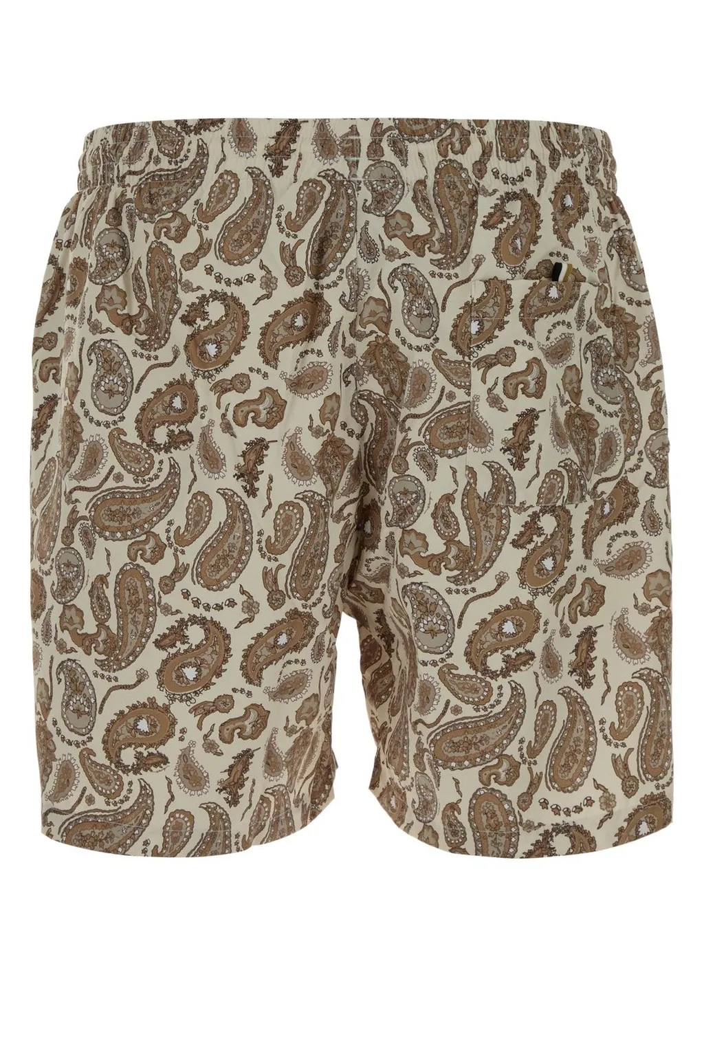 Paisley Print Swim Shorts