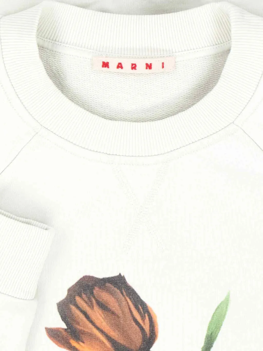 Sweatshirt With Tulip Print
