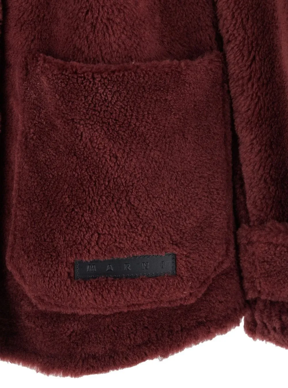 Hooded Teddy Coat