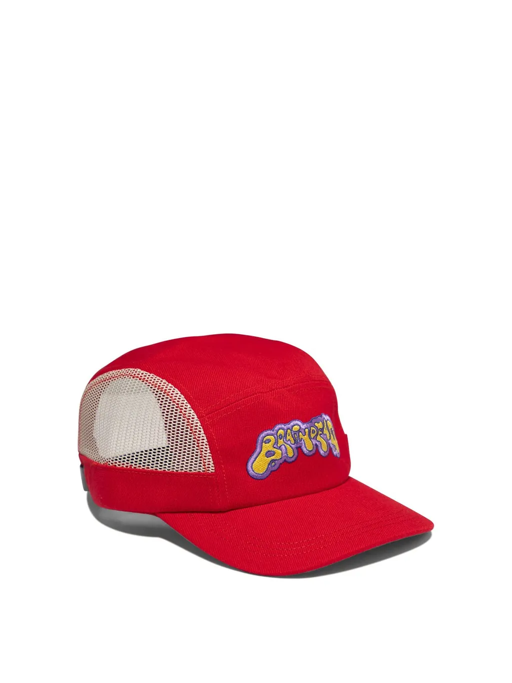 Mesh Panel Cap