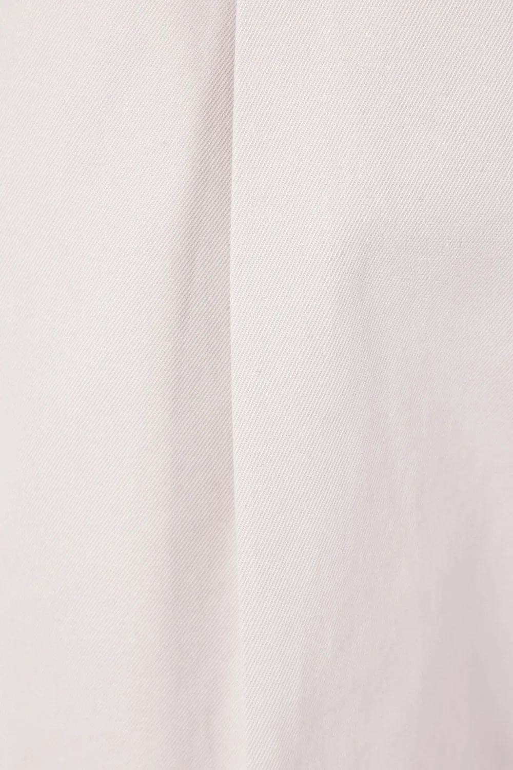 Pleated Trousers