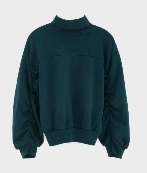Turtleneck Sweatshirt
