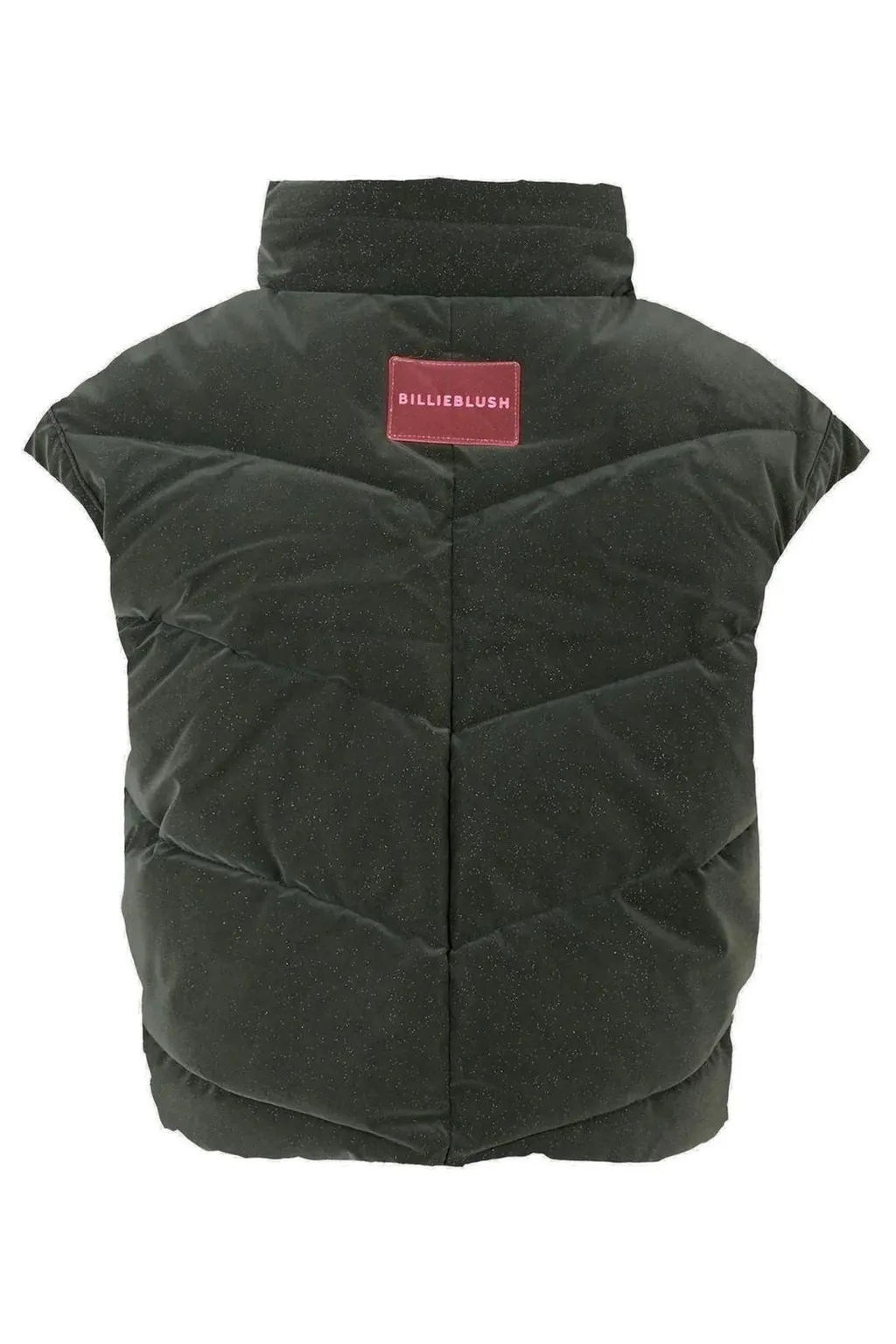 Puffer Vest