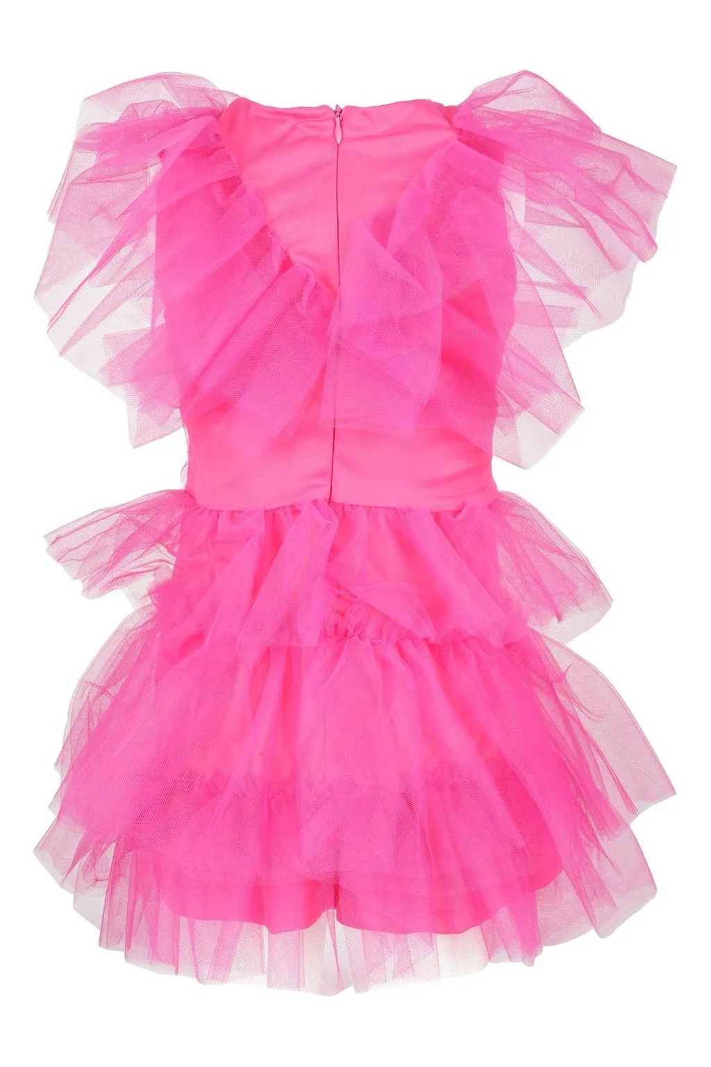 Ruffled Tulle Dress