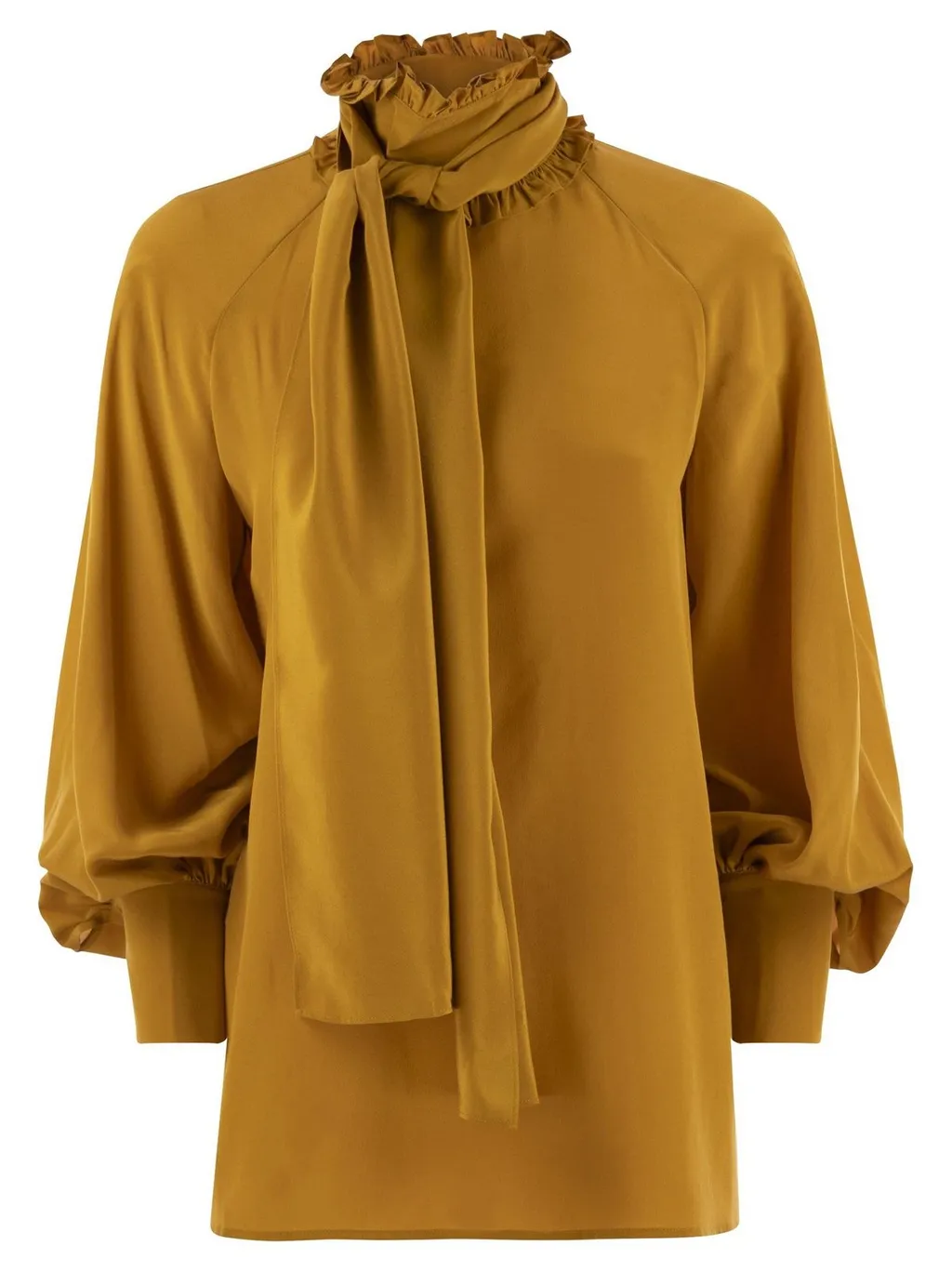 Ruffled Neck Tie Blouse