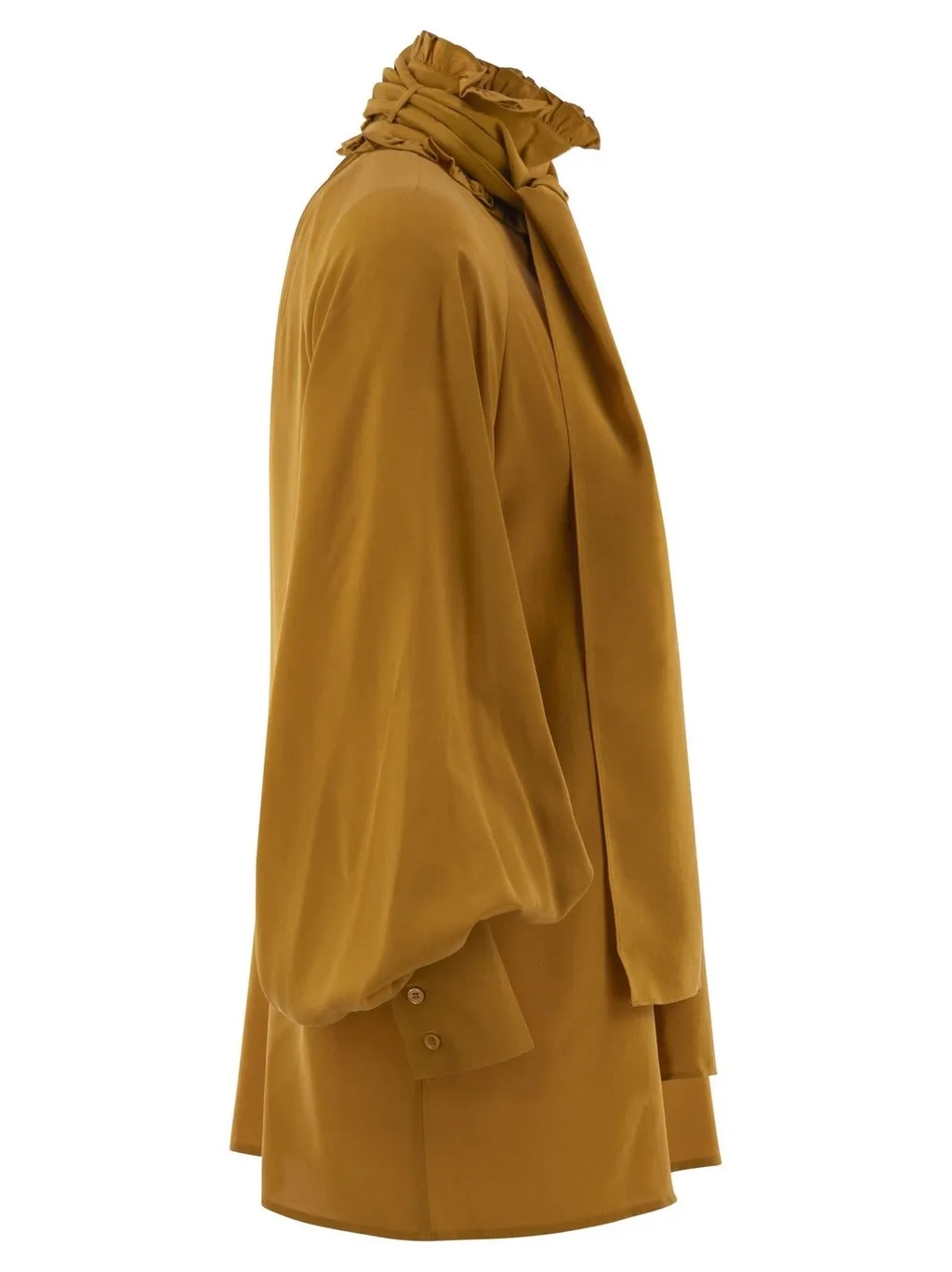 Ruffled Neck Tie Blouse