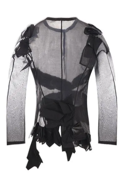 Sheer Long Sleeve Top