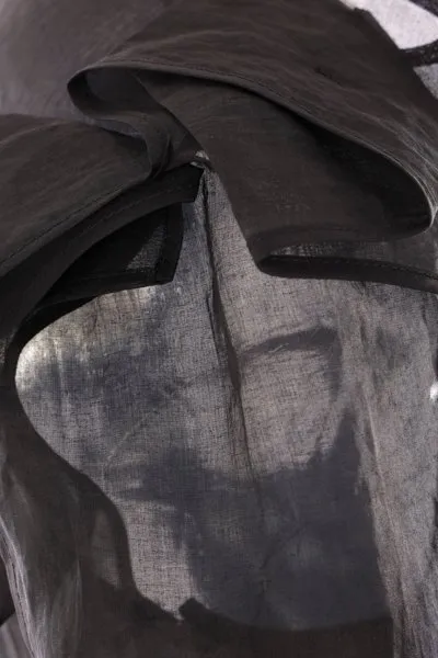 Sheer Long Sleeve Top