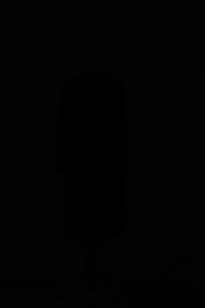 Asymmetrical Drape Blazer Dress