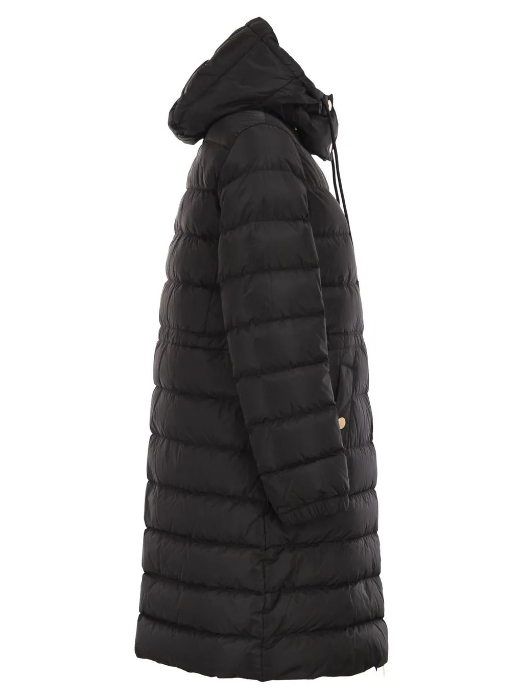 Padded Coat With Hood