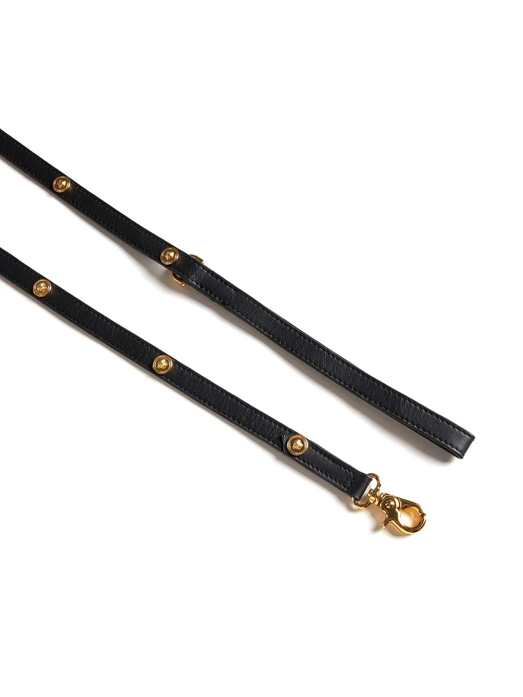 Studded Leather Leash