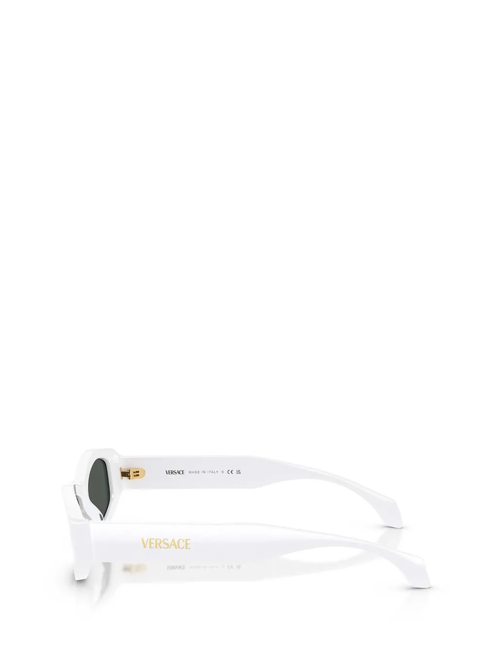 Rectangular Sunglasses