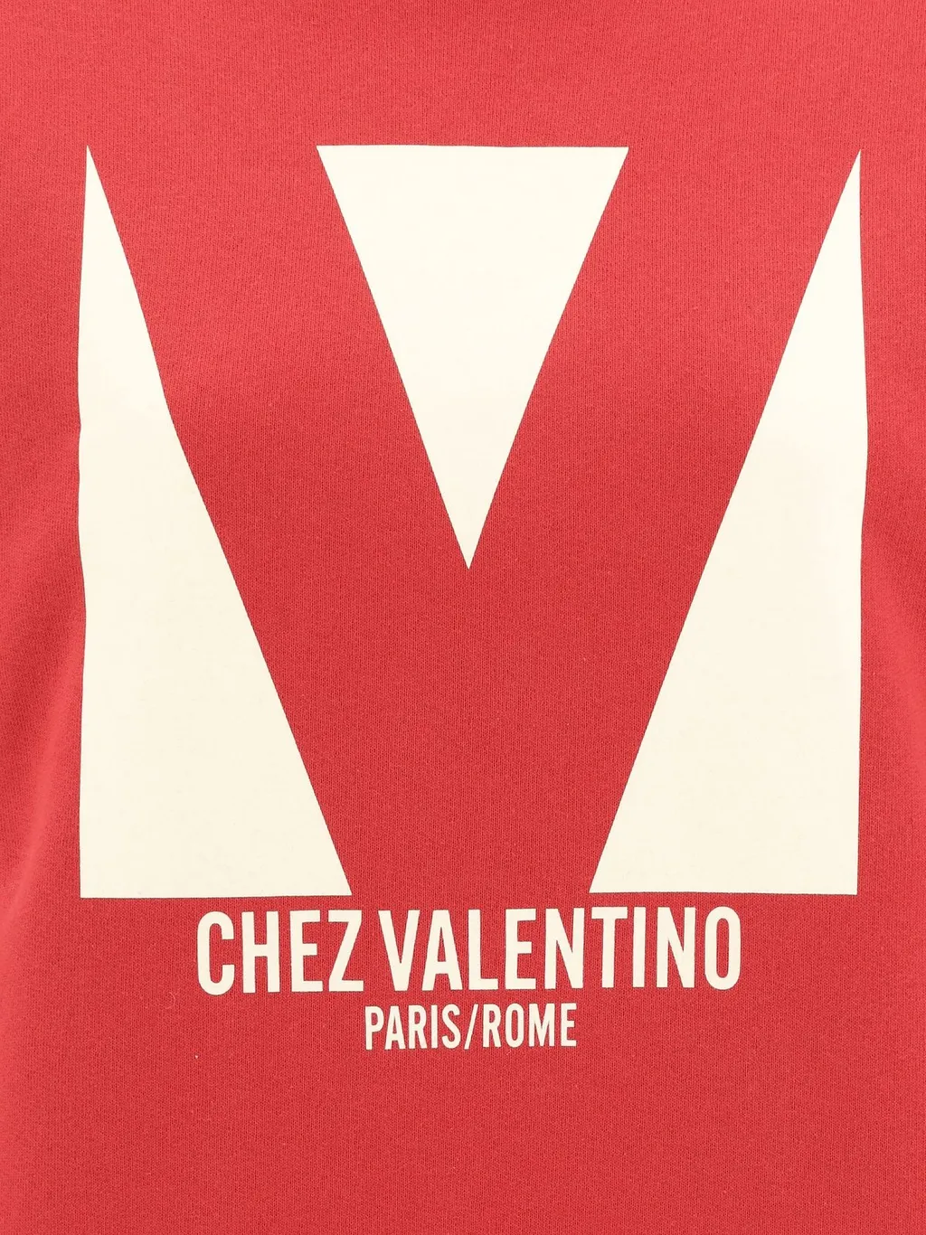 Sweatshirt With V-Logo