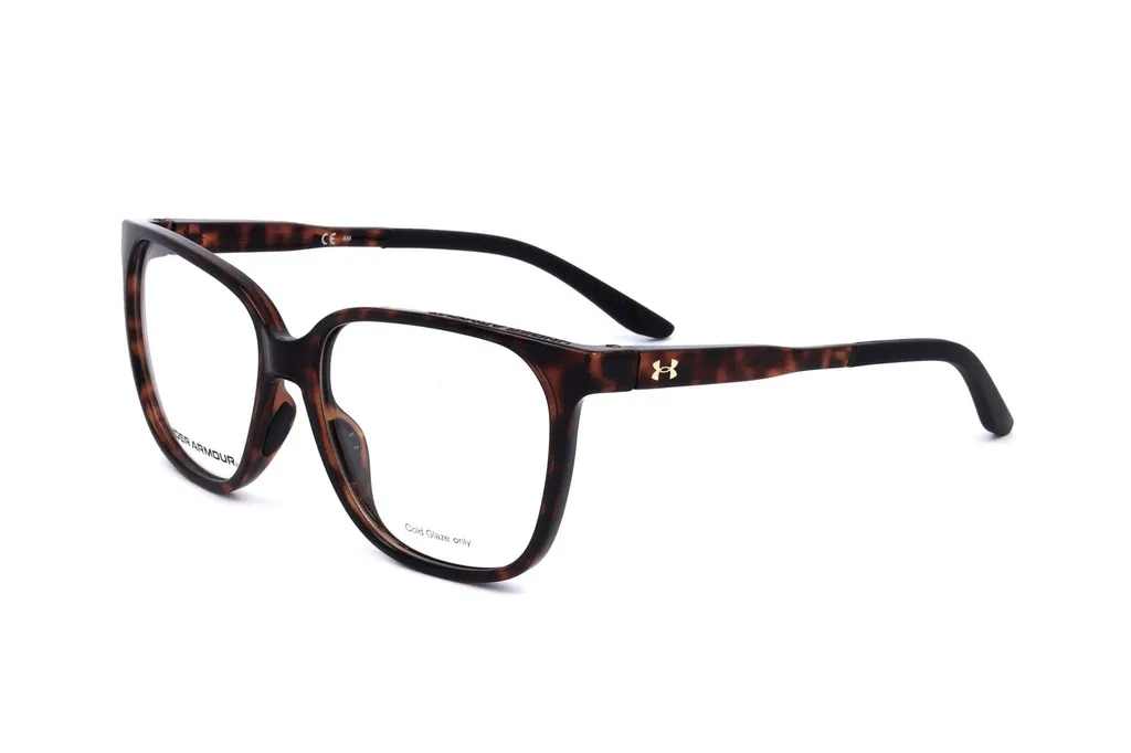 Eyeglasses