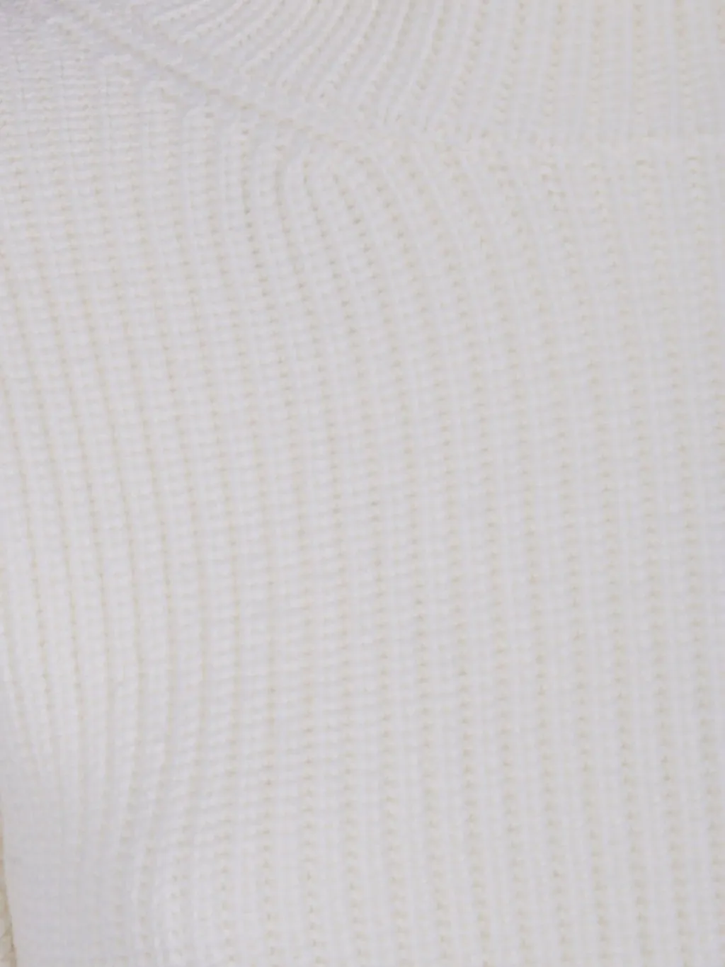 Ribbed Turtleneck Sweater