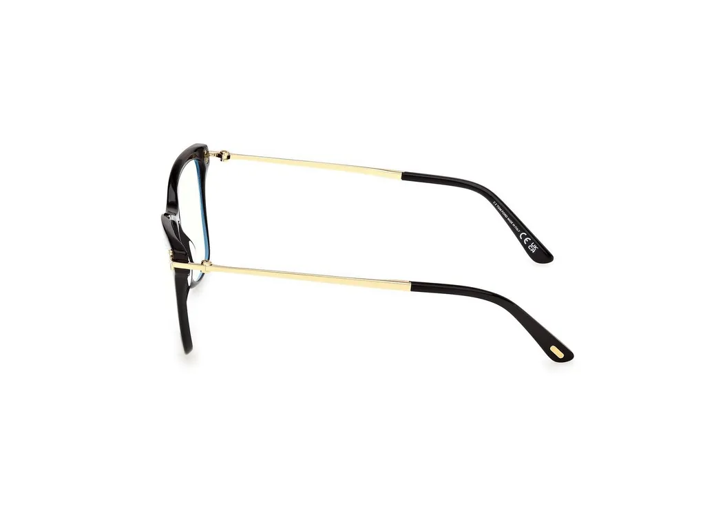 Eyeglasses