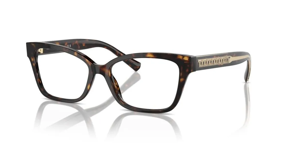 Eyeglasses