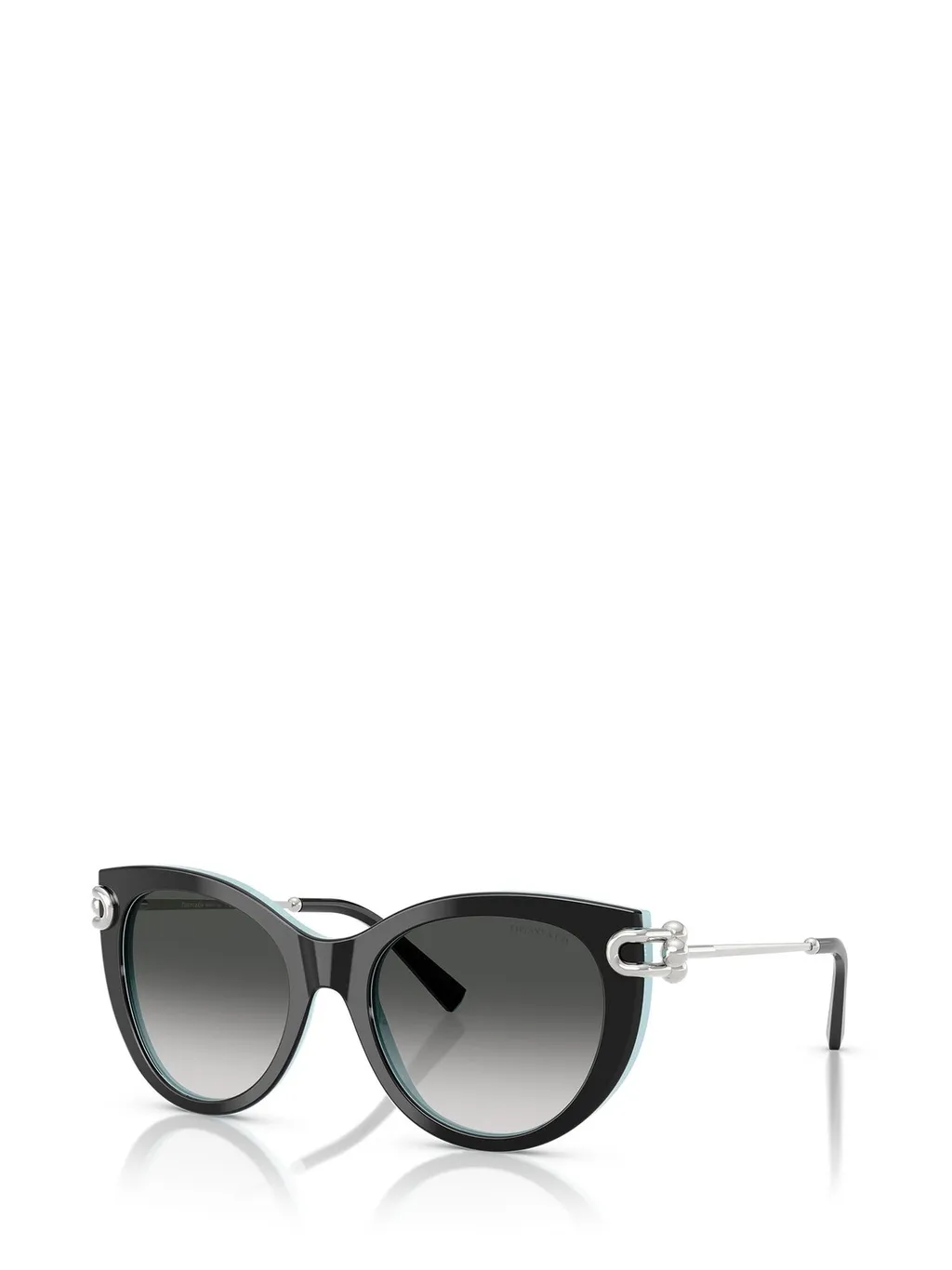 Cat-Eye Sunglasses