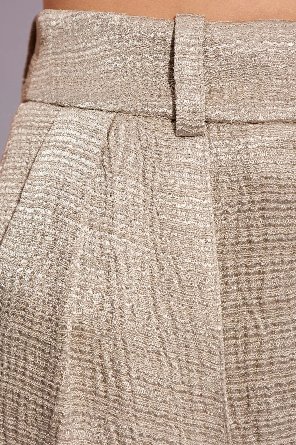 Pleated Trousers