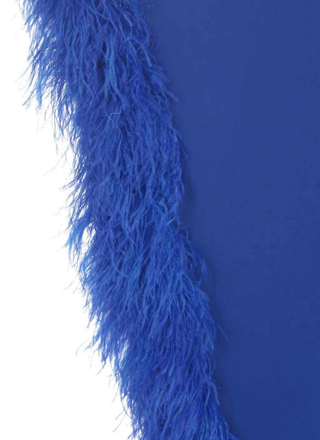 One-Shoulder Feather-Trimmed Gown