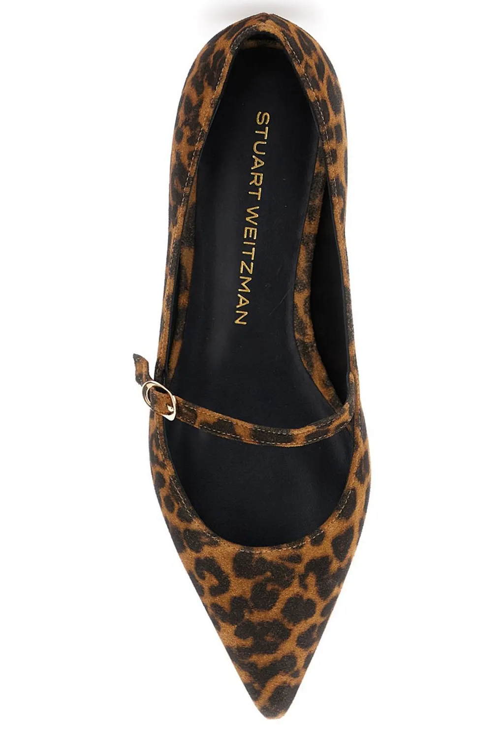 Pointed-Toe Mary Jane Flats