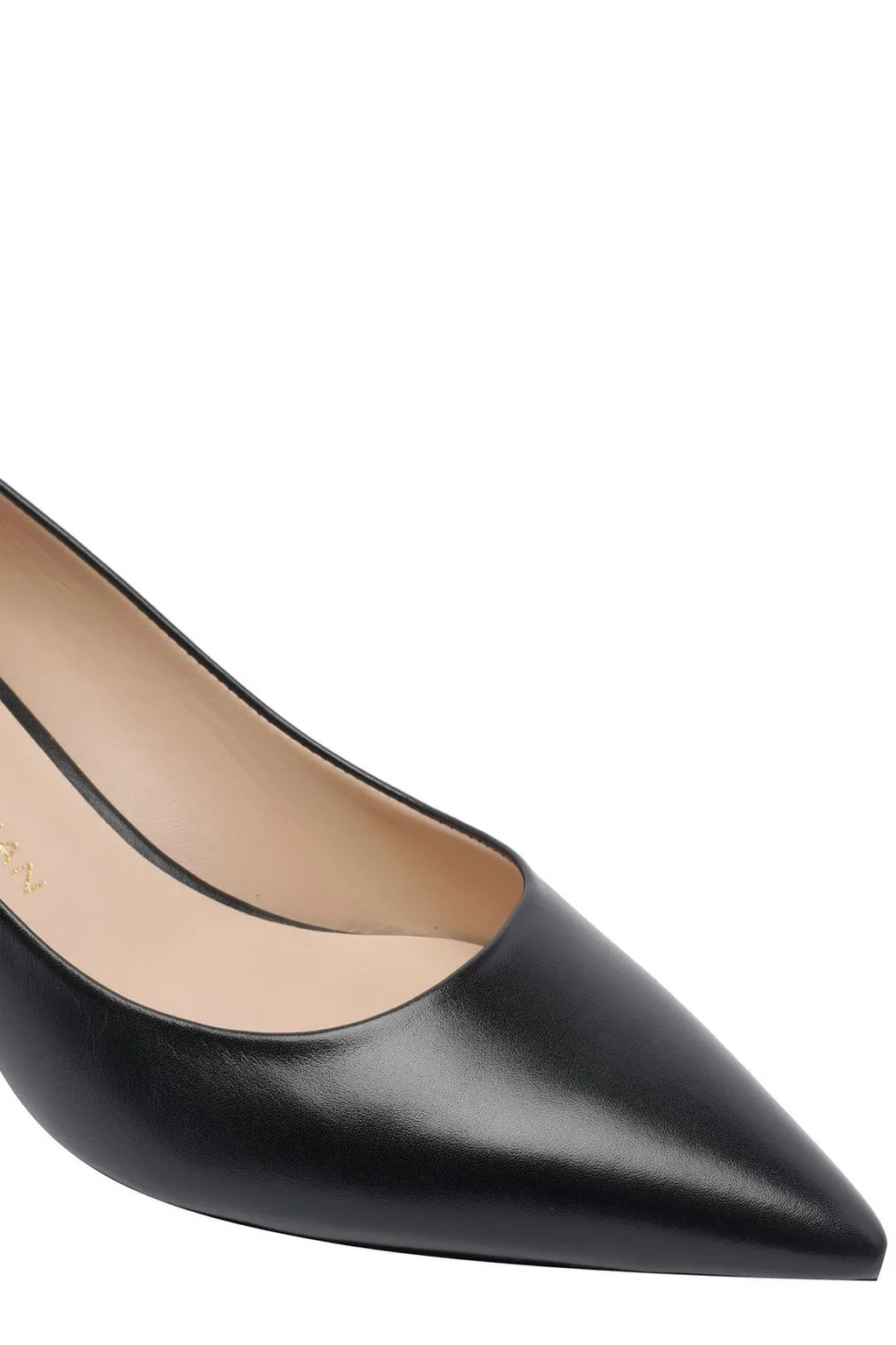 Pointed Toe Kitten Heel Pumps