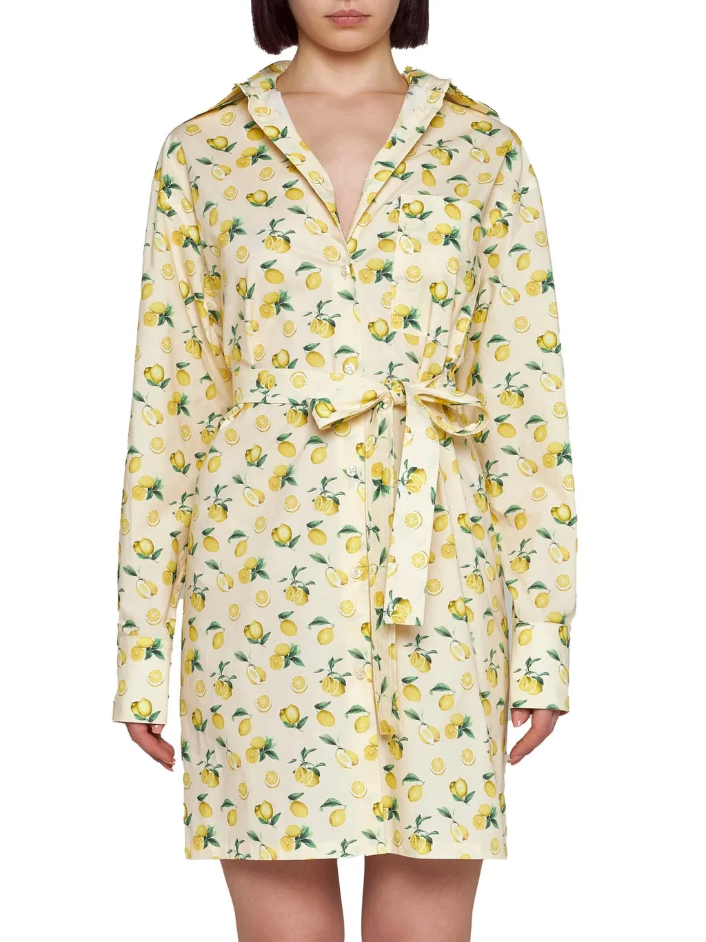 Lemon Print Shirt Dress
