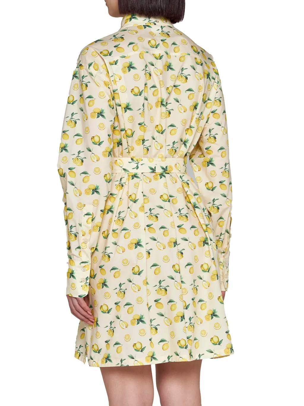 Lemon Print Shirt Dress