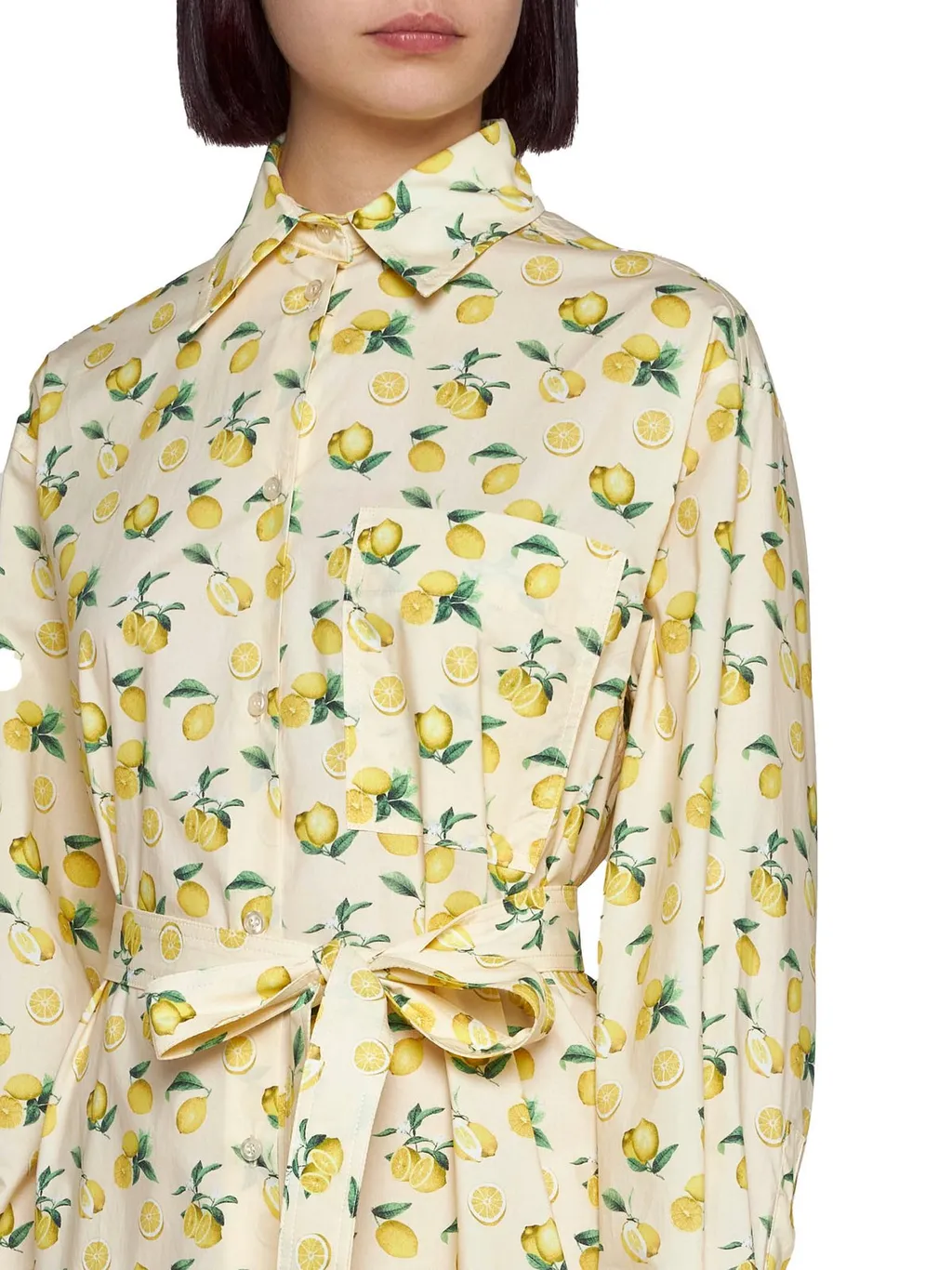 Lemon Print Shirt Dress