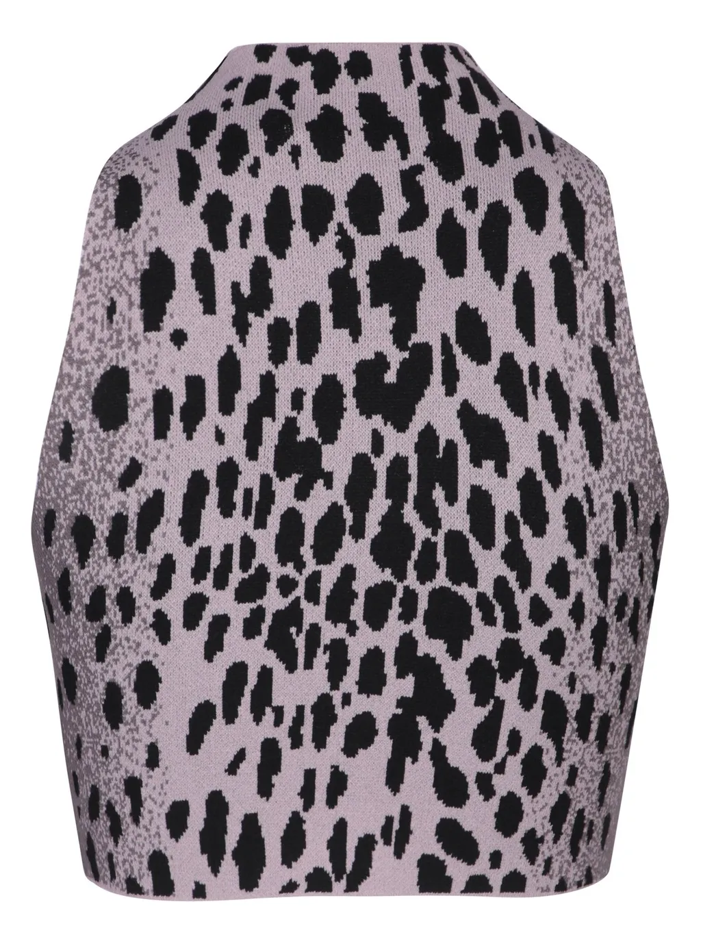 Leopard Print Knit Crop Top