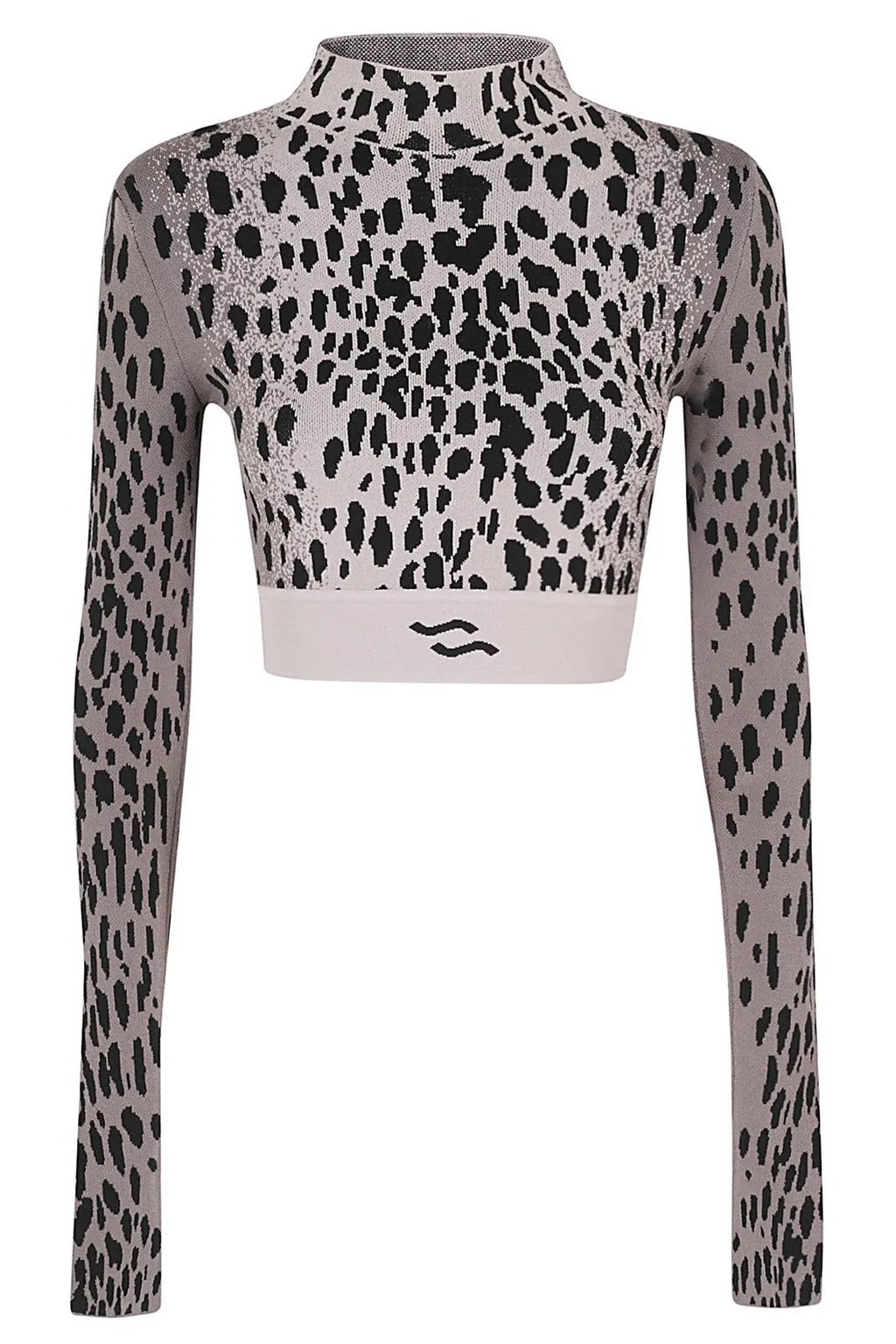 Leopard Print Mock Neck Crop Top
