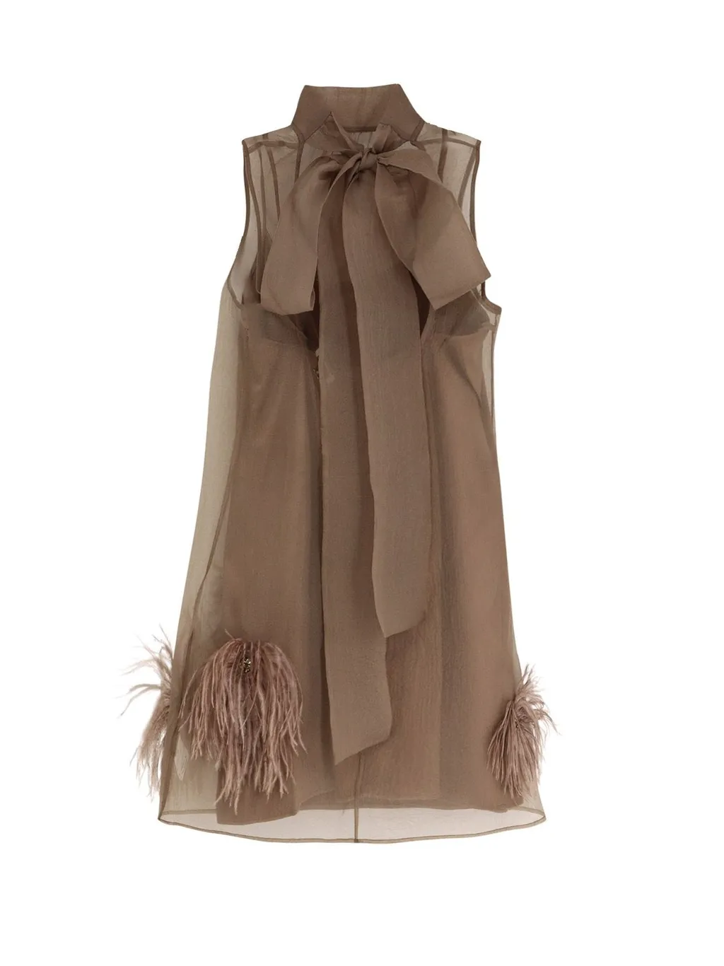 Sheer Feather-Trimmed Dress