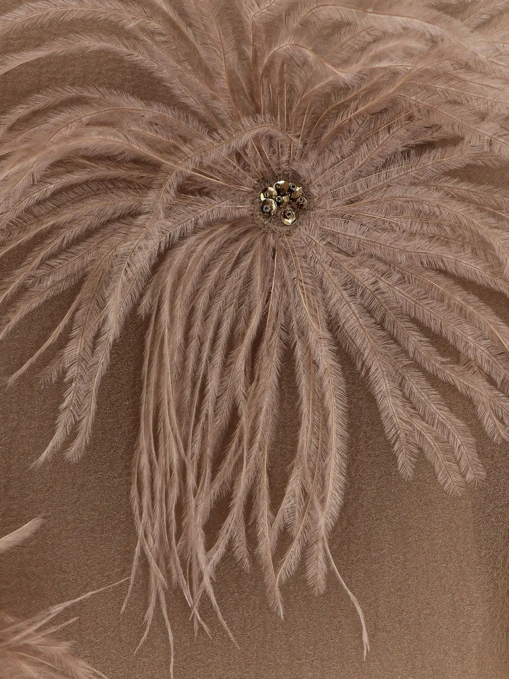Sheer Feather-Trimmed Dress