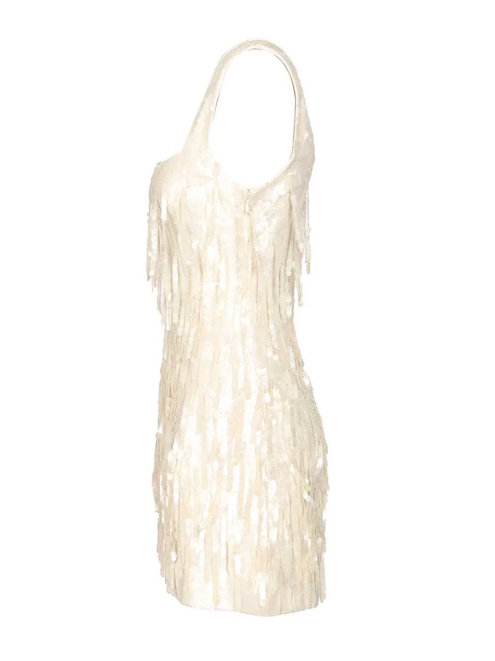 Sequin Fringe Mini Dress